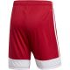 10. adidas Tastigo 19 Shorts M DP3681
