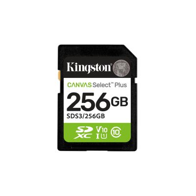 2. KINGSTON microSDXC 1TB Canvas Select Plus 3 + ADP