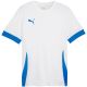 3. Puma teamGoal Spieltagstrikot M 705747 12
