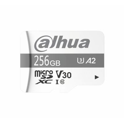 2. Dahua TF-P100 256GB MicroSD UHS-I Klasse 10 SD-Speicherkarte (1.0.99.80.10039)