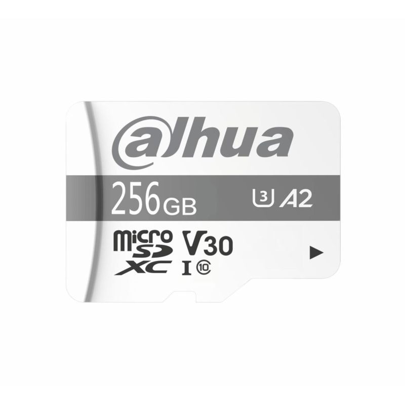 2. Dahua TF-P100 256GB MicroSD UHS-I Klasse 10 SD-Speicherkarte (1.0.99.80.10039)
