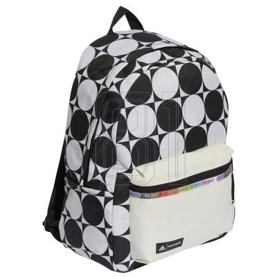 7. adidas Rucksack Pride RM IJ5437