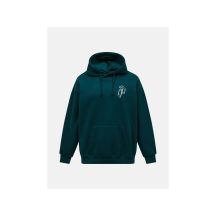 Bluza męska PEAK PERFORMANCE M Terry Graphic Hood kolor zielony
