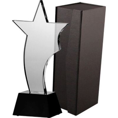 5. Glastrophäe mit Etui
