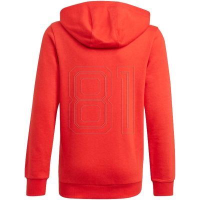 6. Adidas Essentials Big Logo Hoodie Jr GN4037 Sweatshirt