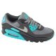 Nike Air Max 90 DM0029-013 Grau 41
