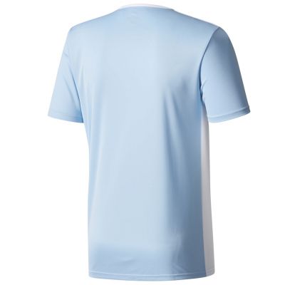 2. adidas Entrada 18 Jr CD8414 Fußballtrikot