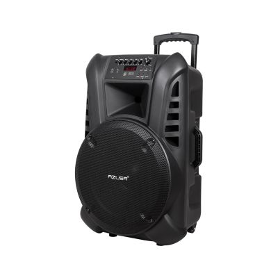 Aktivlautsprecher mit 2 Mikrofonen, Bluetooth und Akku.