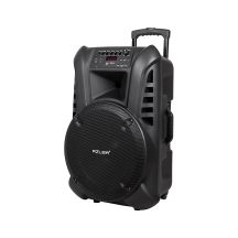 Aktivlautsprecher mit 2 Mikrofonen, Bluetooth und Akku.