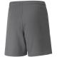 6. Puma teamLIGA Shorts Jr 704931 13