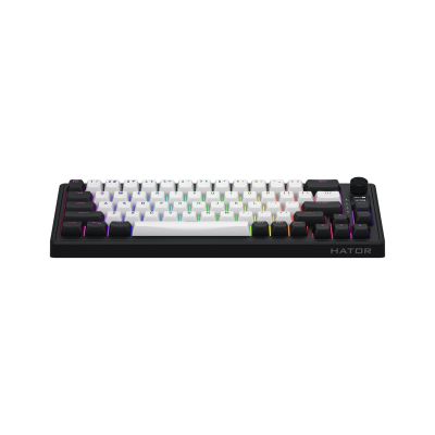 12. HATOR Skyfall 65 MAG ULTIMA 8K kabellose Gaming-Tastatur USB + RF + Bluetooth QWERTZ US-Englisch Schwarz, Weiß