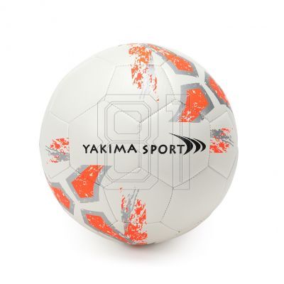 2. Yakima Sport 100095 Ball