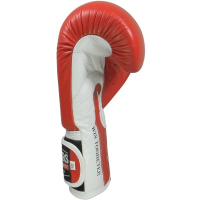6. RBT-PZKB-1 Leder-Boxhandschuhe 10 oz
