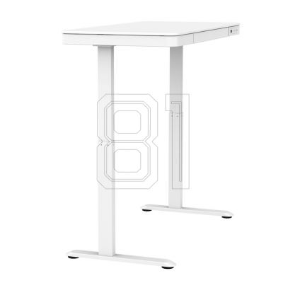 17. Urevo Spacewalk 3S treadmill + Tuckano URTM024+BIUBI electrically adjustable desk