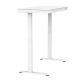 17. Urevo Spacewalk 3S treadmill + Tuckano URTM024+BIUBI electrically adjustable desk