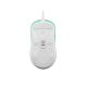 2. Gaming-Maus Fury Tanto T4, 12.000 DPI, RGB, mint, kabelgebunden