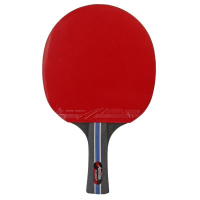 3. AURORA SG6172 *** Tischtennis-Set