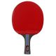 3. AURORA SG6172 *** Tischtennis-Set