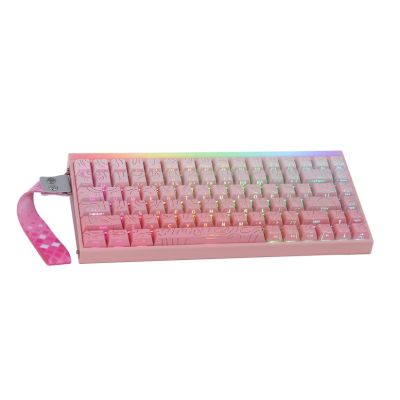 13. HERO84 HE PINK+Gradient+Contour Tastatur mit Dragon King Schaltern RGB AULA