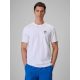 T-Shirt 4F 4FRSS26TTSHM4323-10S