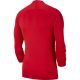 4. Nike Dry Park First Layer JSY LS M AV2609-657 Fußballtrikot