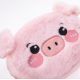 3. Kinder-Schweinegeldbörse