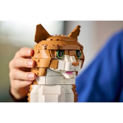 9. LEGO Ideas 21376 – Rote Katze