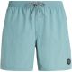 2. Herren-Badeshorts PROTEST Faster, türkis