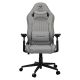 2. COUGAR CGR-EPF-ROA Universeller Gaming-Stuhl Grau