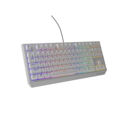 18. GENESIS Thor 230 TKL USB + RF QWERTY-Tastatur