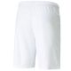 4. Puma teamLIGA M 704924 04 Shorts