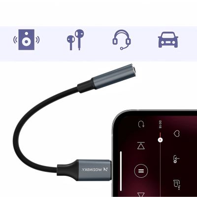 6. Wozinsky WALJ-01 Lightning Adapter - 3,5-mm-Minibuchse - Schwarz