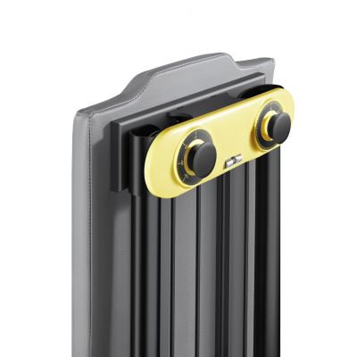 15. Kingsmith FBB1C Multifunktionale Trainingsbank