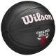 2. Wilson Team Tribute Chicago Bulls Mini Ball Jr WZ4017602XB