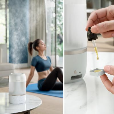 18. Philips Luftbefeuchter der Serie 1000