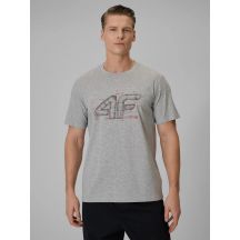 Herren-T-Shirt mit Print und Regular Fit 4F 4FRSS26TTSHM3989-10S