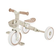 Dreirad/Laufrad LEARNING TRIKE 2in1 PLUS ECOLOGIC (737-466)