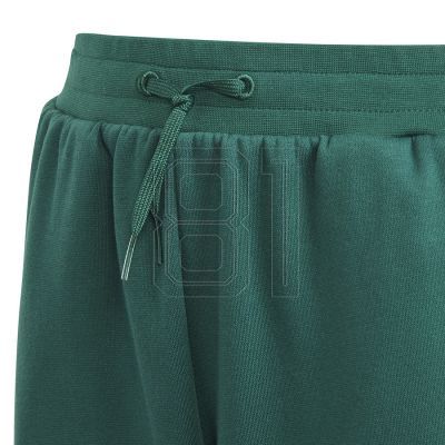 3. adidas BLUV Q3 Pant Jr IA1553
