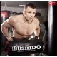 10. SANDSACK BUSHIDO, SANDSACK, CROSSTRAINING, FITNESS 35 KG