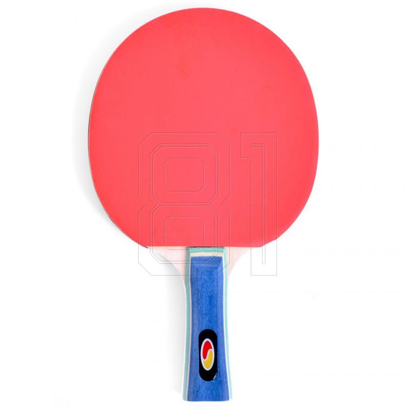 2. SMJ Faster 12201-1 Tischtennisschläger