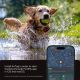 4. Spigen Tough Armor Pet Collar AirTag 1/2 Hülle - Schwarz