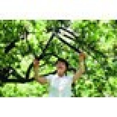 3. Fiskars 112580 Gartenschere Amboss-Gartenschere