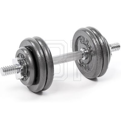 13. Profit Gusseisenhanteln 10kg DK 4126
