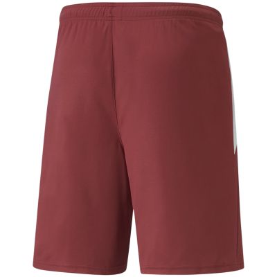 4. Puma teamLIGA M 704924 09 Shorts