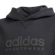 8. Adidas Allszn GFX HD Jr Sweatshirt IS4661