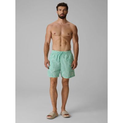 6. Herren-Boardshorts 4F 4FRSS26UBDSM260-90A