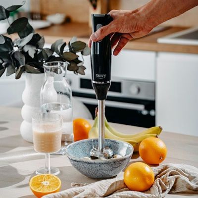 7. CAMRY CR 4630 Stabmixer