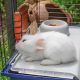 22. FERPLAST Rabbit 120 - Kaninchenkäfig