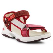 D.Franklin Sneakers Sandal Strips W DFSH406003-Burg