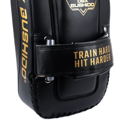 11. PAO Gold Thai Shields Paar | ProFighter | DBX Bushido